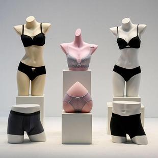 内衣模特展示架男女半身聚拢文胸内裤模特架假人体拍摄道具胸模
