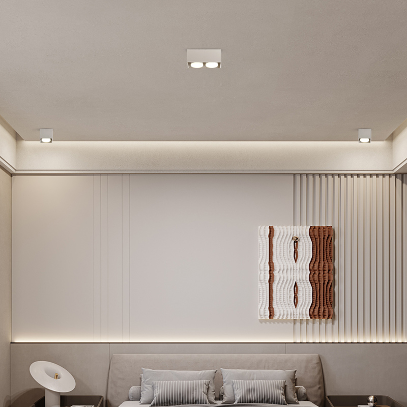 明装筒灯客厅无主灯照明盒子灯方形双头斗胆灯过道玄关吸顶式射灯