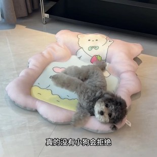 通用可拆洗猫咪睡觉透气凉垫子 夏日狗窝懒人沙发可躺可睡冰垫四季