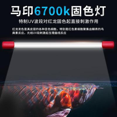 马印神灯三基色龙鱼灯专用红龙增色增艳灯鱼缸灯led灯防水潜水灯