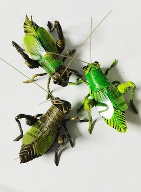 中国非遗棕编工艺礼品摆饰纯手工编织螽斯成品摆件家居装饰品创意