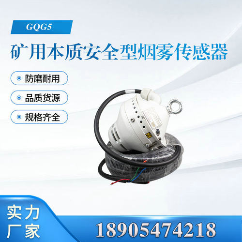 天津华宁电子GQG5矿用本质安全型烟雾传感器GQG5-Y2实验按钮