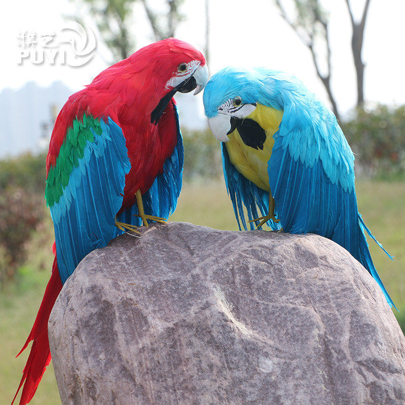 仿真羽毛金刚鹦鹉摆件景观装饰橱窗美陈道具彩色羽毛鸟精致款摆件,特色手工艺,铁画,淘宝优惠券,粉丝福利购,淘宝优惠卷