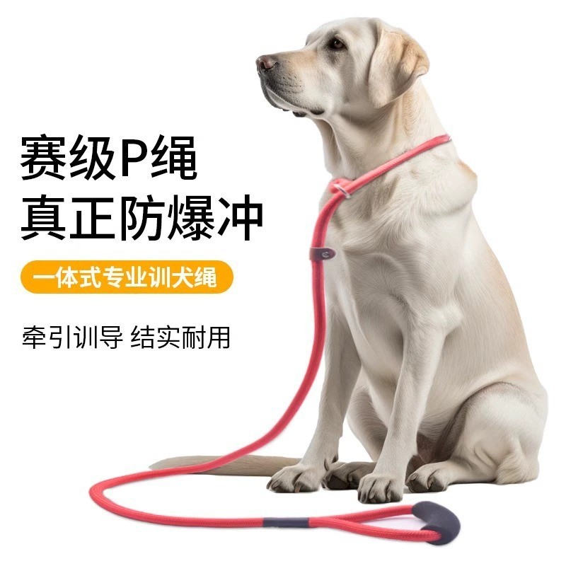 p绳p链遛狗绳子狗绳防爆冲链子小中大型犬外出遛狗神器狗狗牵引绳