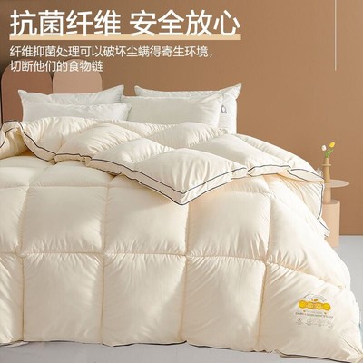 summer autumn quilt thick comforter duvet blanket 被子被芯