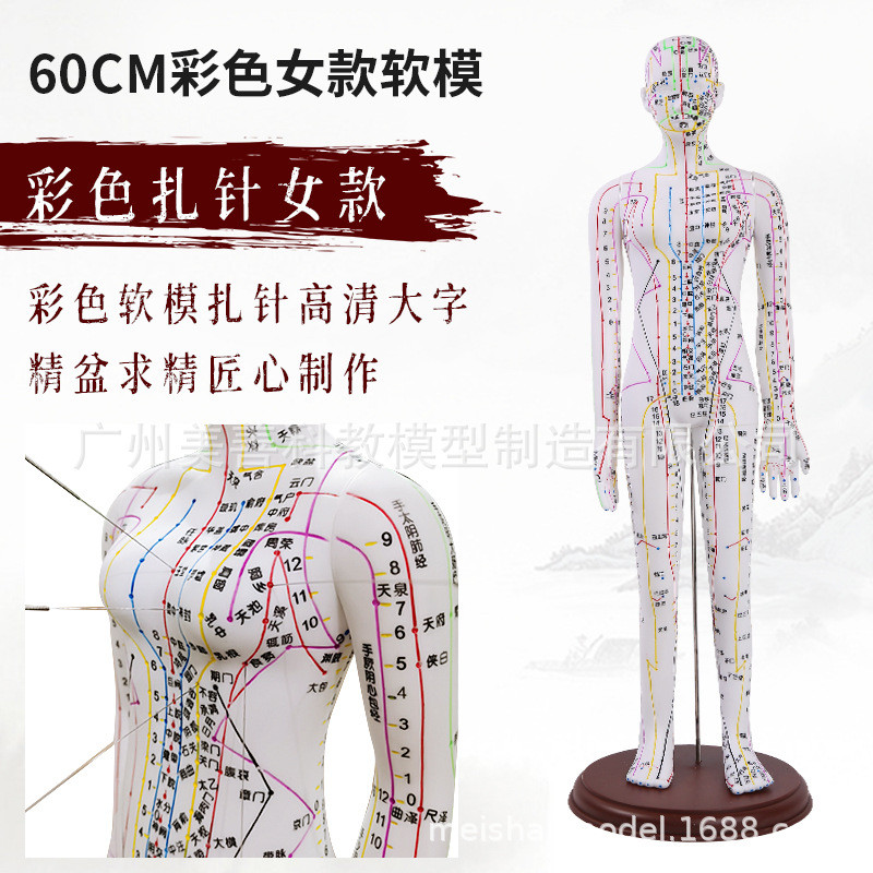 62CM超清晰人体针灸穴位模型中医经络通针灸模型人体铜人男女模