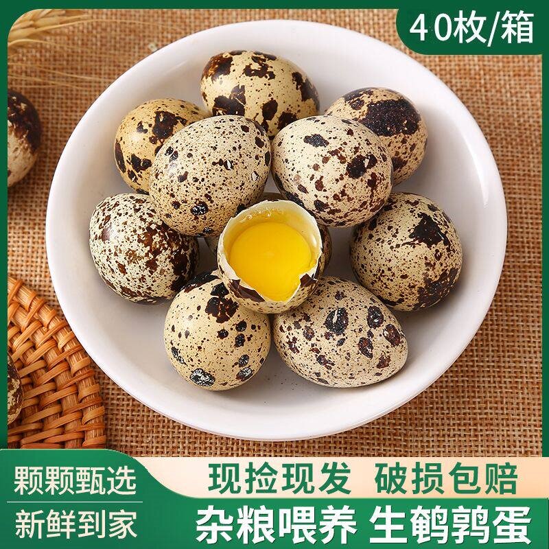 新鲜鹌鹑蛋散养鸟蛋杂粮孕妇批发喂养宝宝辅食营养农家生鲜鹌鹑蛋