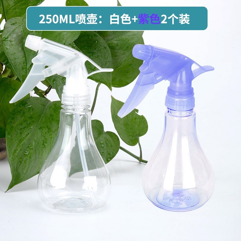 消毒喷水壶家用多肉塑料浇水喷壶小号浇花喷瓶园艺手压洒水喷雾瓶