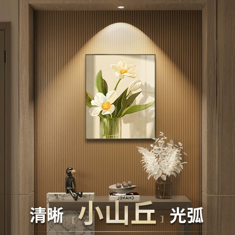 防眩小山丘射灯客厅家用嵌入式 网红无主灯筒灯75开孔洗墙氛围灯