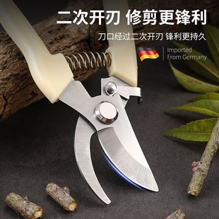 花剪修枝剪树枝剪刀园艺剪刀粗枝剪园林果树剪五金工具摘果剪