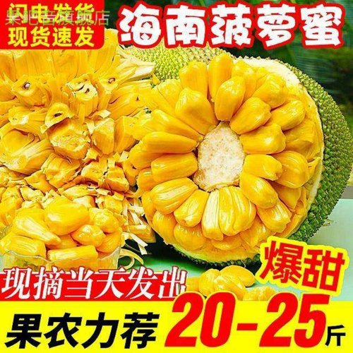 海南三亚黄肉菠萝蜜一整个新鲜孕妇水果当季木波罗蜜40斤整箱包邮