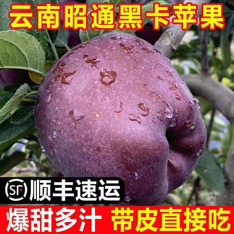 云南昭通黑卡苹果黑钻黑色特产苹果新鲜脆甜水果当季孕妇整箱包邮,水产肉类/新鲜蔬果/熟食,苹果,淘宝优惠券,粉丝福利购,淘宝优惠卷