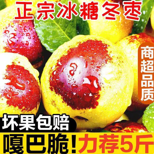 山东特产无棣冬枣冰糖甜脆枣大青枣红枣高端新鲜水果新鲜5斤礼盒