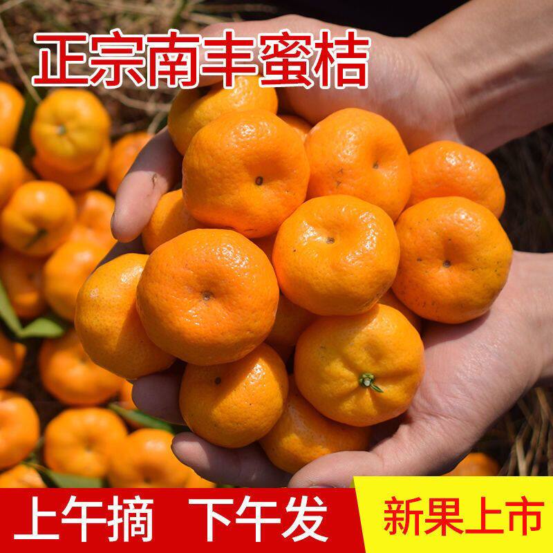 2026南丰蜜桔10斤5斤橘子新鲜水果当季现摘砂糖小桔子贡柑桔