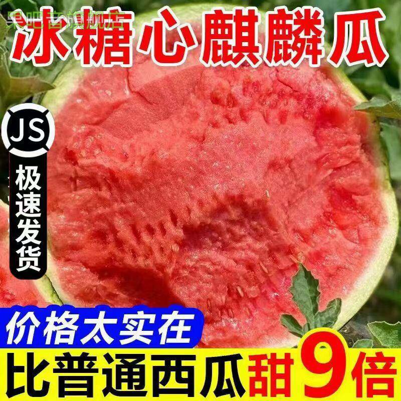 头茬麒麟西瓜现摘8424美都西西瓜