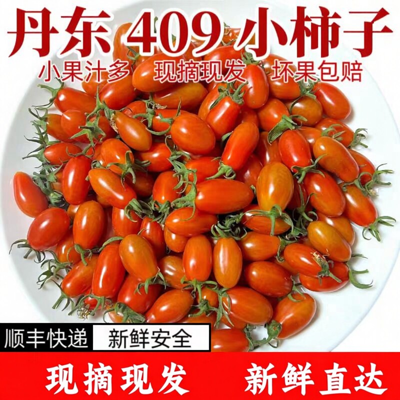 顺丰包邮东北409花生小柿子新鲜小番茄孕妇小圣女果非千禧圣女果