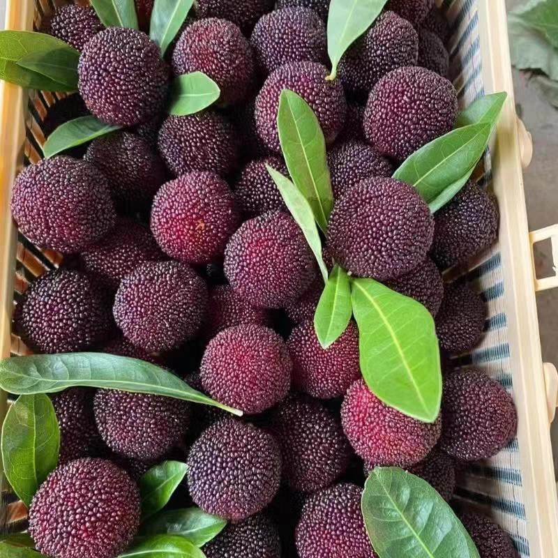 25年冷冻杨梅鲜果现货荸荠孕妇可吃空运冷冻果水果云南杨梅,水产肉类/新鲜蔬果/熟食,杨梅,淘宝优惠券,粉丝福利购,淘宝优惠卷