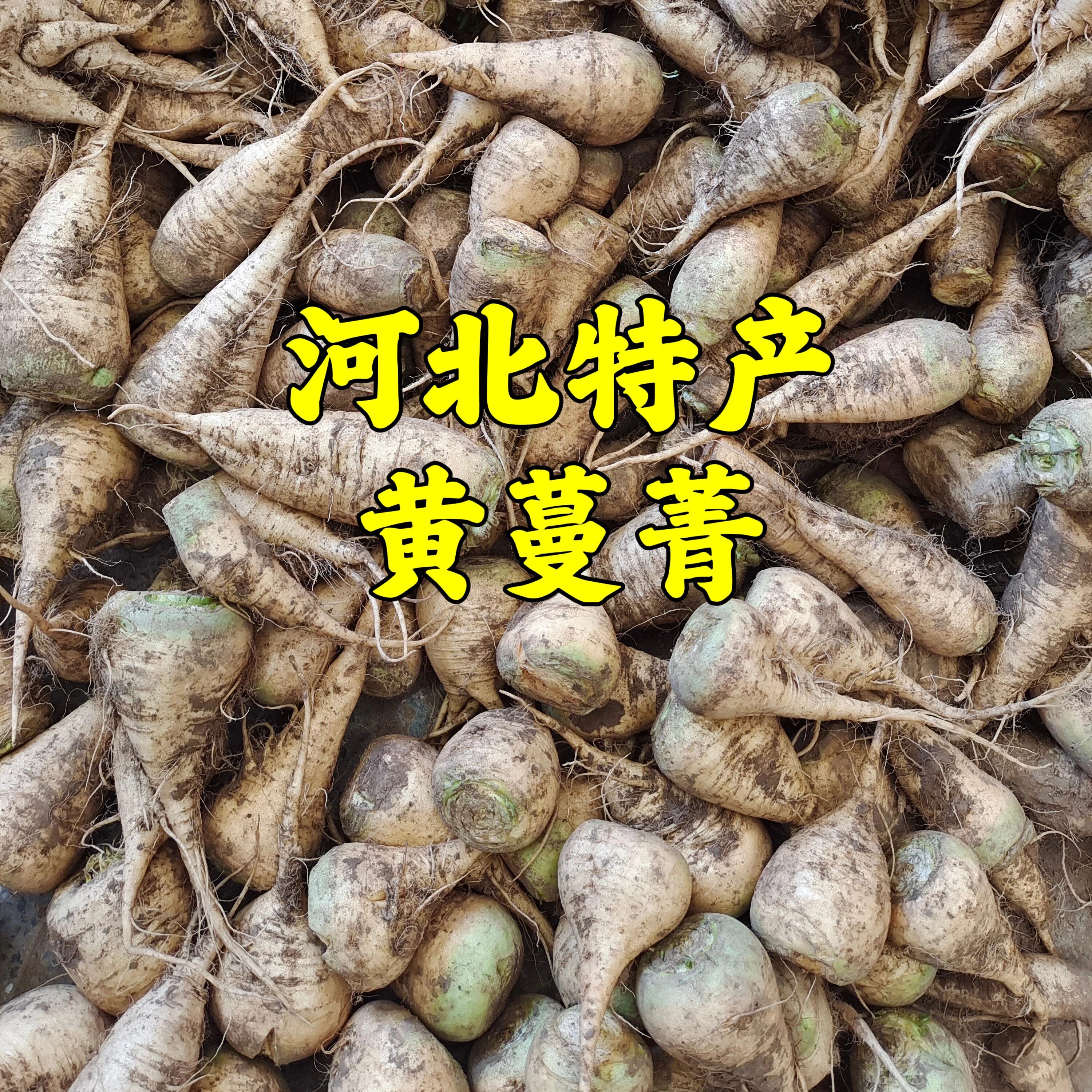 黄蔓菁河北特产新鲜蔬菜疙瘩芜菁熬粥甜面碱性蔬菜农家自种包邮