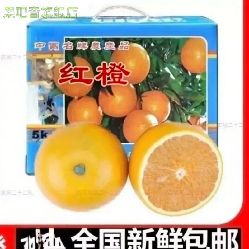 正宗红江橙10斤装橙子手剥薄皮甜橙湛江廉江特产新鲜农场水果,水产肉类/新鲜蔬果/熟食,柠檬,淘宝优惠券,粉丝福利购,淘宝优惠卷