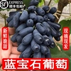 新鲜金手指葡萄黑提子蓝宝石美人指无籽葡萄新鲜顺丰包邮水果