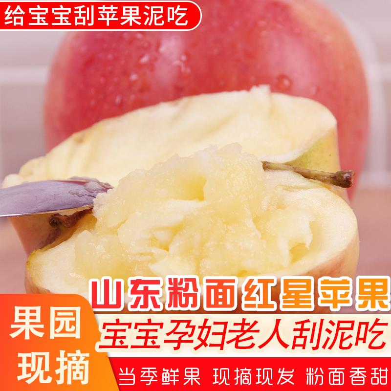 山东粉面沙甜苹果水果新鲜5当季婴儿宝宝刮泥老人吃的粉平果特价9