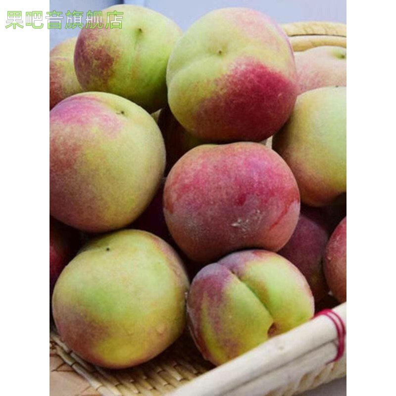 蜜桃硬脆桃子甜毛桃新鲜水果脆桃蜜桃毛桃现摘硬脆甜应季水果,水产肉类/新鲜蔬果/熟食,桃,淘宝优惠券,粉丝福利购,淘宝优惠卷