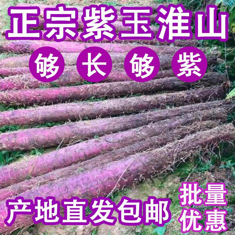 新鲜紫色山药正宗广西小叶铁杆紫玉淮山长型紫山药淮山酒店食材