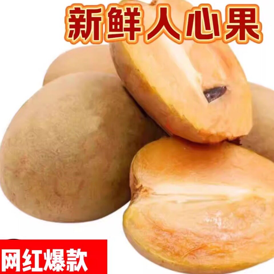 当季现摘人心果 清甜爆汁 整箱新鲜直达 产地直发包邮