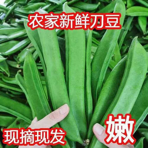 新鲜刀豆当季现摘扁豆虹豆当季大刀豆时令大虫豆芭豆脆口嫩整箱