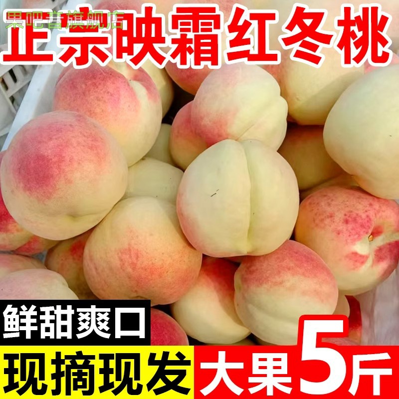 正宗映霜红冬桃现摘晚熟桃子孕妇水果金秋红蜜白桃白雪公主5斤