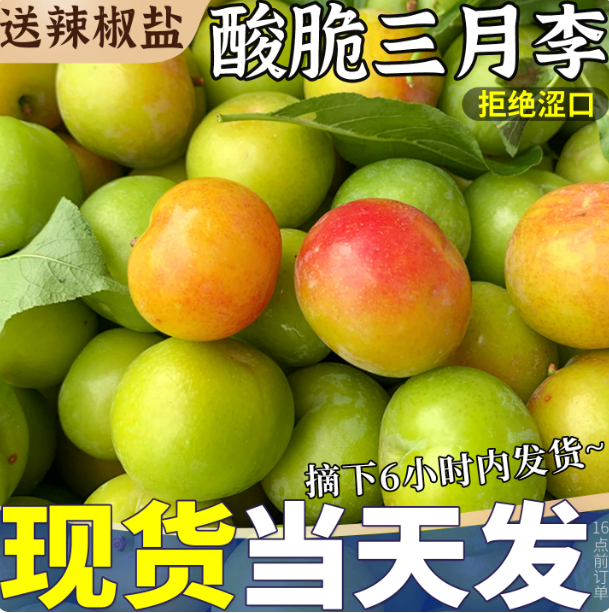 现货大果 5斤三月李新鲜水果李子早熟三华脆孕妇整箱包邮当季现摘