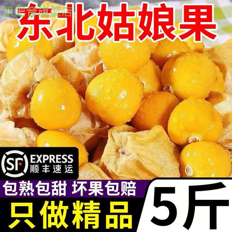 顺丰东北姑娘果5斤特产大果菇娘果水果新 鲜整箱当季东北灯笼果黄