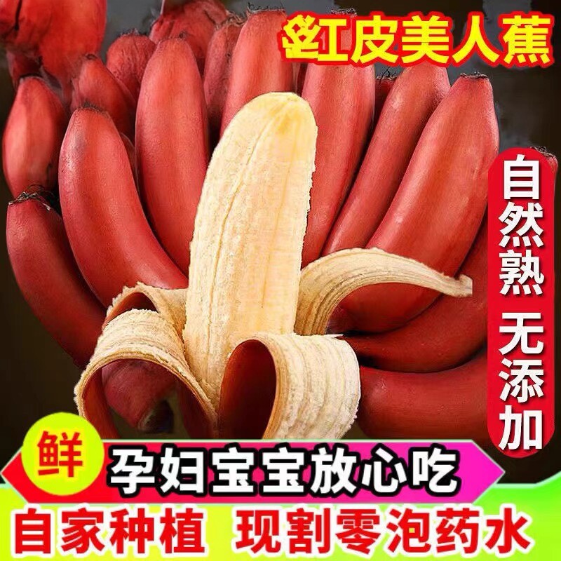 顺丰海南红美人香蕉咖啡蕉整箱当香蕉
