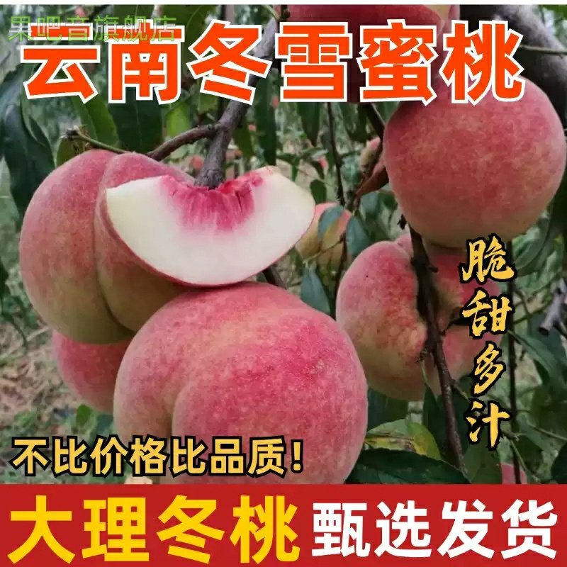 正宗云南冬桃新鲜应季水果脆甜5斤特大丑桃子现摘产地直发整箱