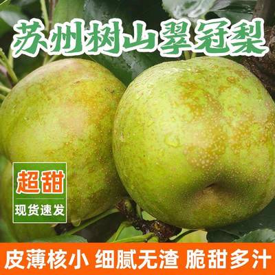 现货苏州树山翠冠梨子新鲜水果超甜现摘礼盒装10斤装青皮翠冠梨