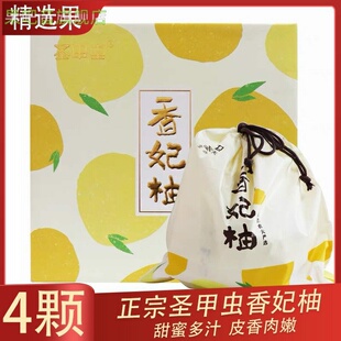 圣甲虫香妃柚原箱礼盒装4个蜜柚玉环文旦柚皮香肉嫩大柚子精选果