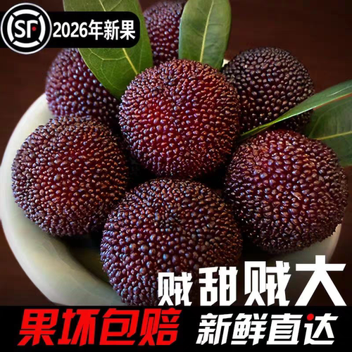 云南新鲜杨梅鲜果26年头茬现摘应季东魁荸荠杨梅泡酒杨梅孕妇水果