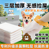 宠物狗狗捡屎袋捡狗便神器外出拾便袋搅屎袋垃圾收纳遛狗小狗双层