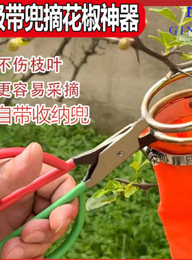 专业剪花椒的剪刀摘花椒神器专用工具花椒采摘修枝刀摘茶叶拇指刀