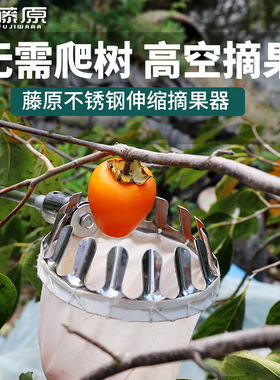藤原不锈钢摘果器枇杷枣柿子杨梅高空采摘器多功能摘果工具伸缩杆
