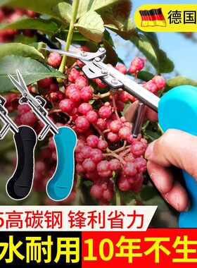 摘花椒神器采摘花椒专用剪刀省力修枝剪水果辣椒茶叶花卉修剪工具