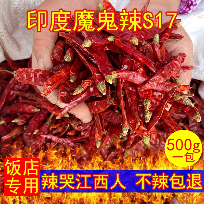 印度特辣魔鬼椒超辣特香