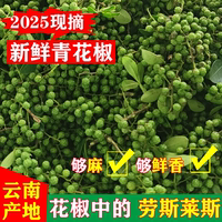 现摘青藤椒新鲜青花椒云南特产350g真空保鲜新花椒活花椒鲜花椒