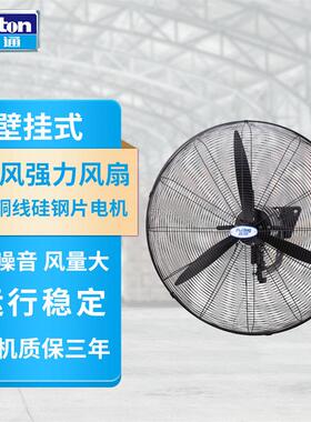德通普风强力风扇工业风扇挂墙式可摇头工业壁挂扇牛角扇DFP650-T