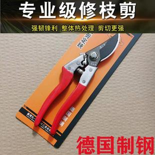 手剪台湾进口SK 弘一郎A8德国粗枝剪 3钢果树盆景绿篱树枝园林修