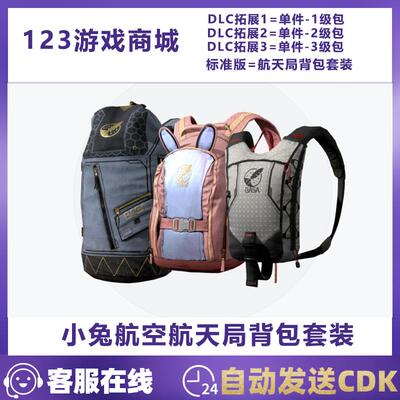 PUBG绝地求生小兔航空航天局背包套装一级二级三级 皮肤兑换码CDK