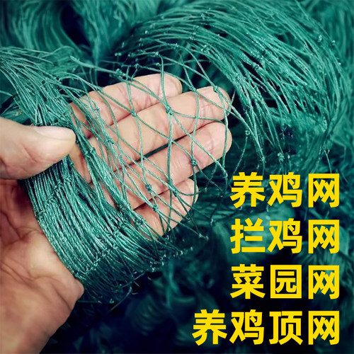 菜园围网家禽塑料网养殖网养鸡网尼龙网安全拦鸡网围鸡网护栏网