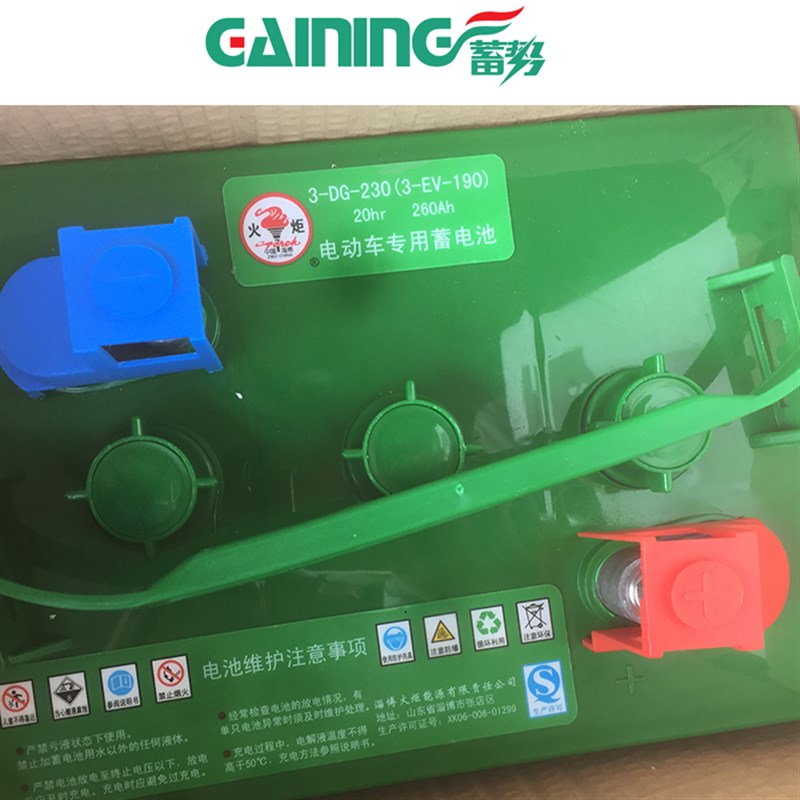 淄博火炬蓄电池DG-2/21/1h电动车益高观光车电池