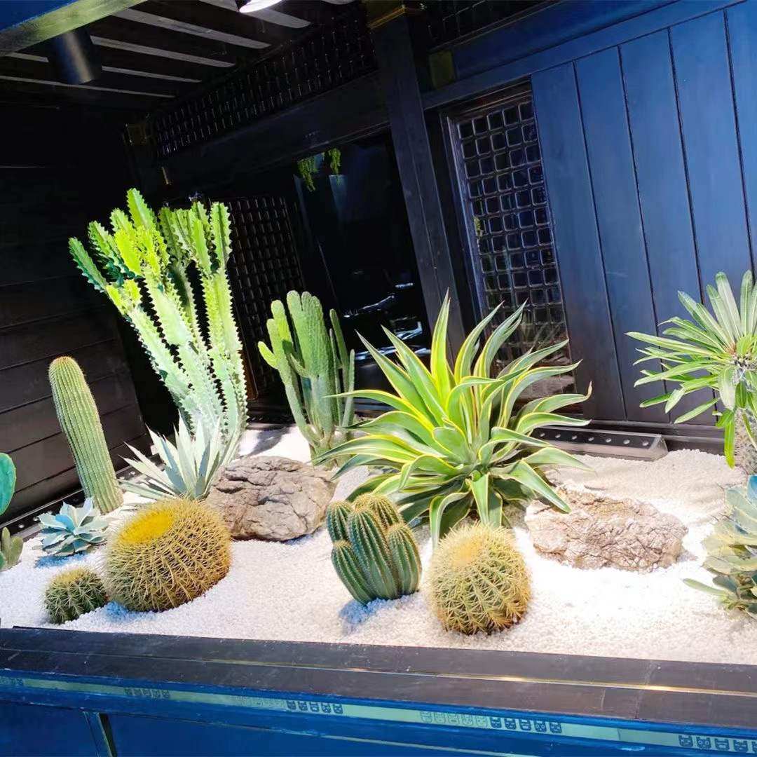 斤白石头庭院园铺路鹅卵石造景园园林枯山水白石子多肉铺面,家居饰品,户外/庭院摆件,淘宝优惠券,粉丝福利购,淘宝优惠卷