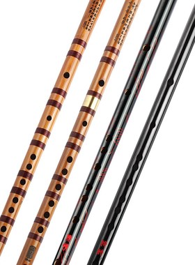 专业竹笛儿童初学零基础入门笛子乐器EI精制演奏F调古风女陈情短